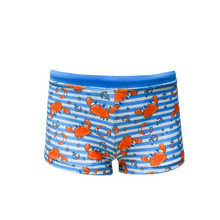 Load image into Gallery viewer, Crab - Trunks
