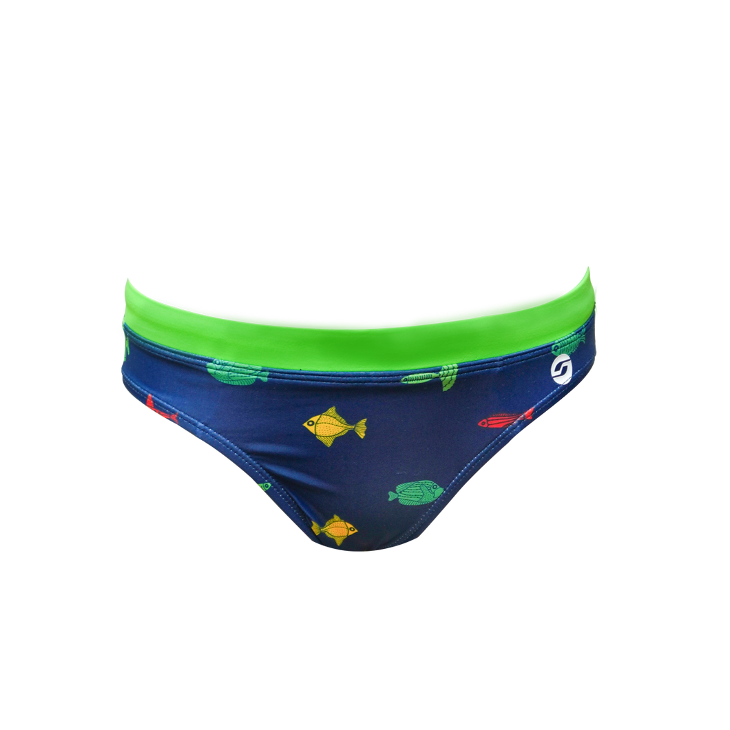 Colourful fish - Brief